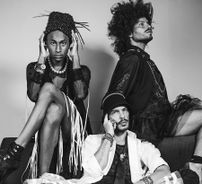 Foto de Não Recomendados