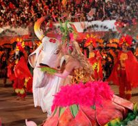 Foto de Boi Flor do Campo