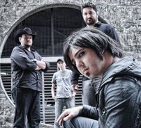 Foto de Rosa de Saron