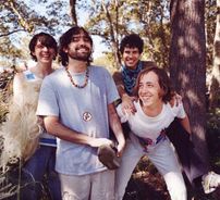 Foto de Animal Collective