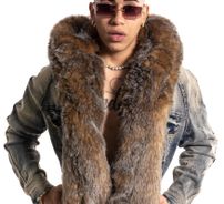 Foto de Tommy Boysen