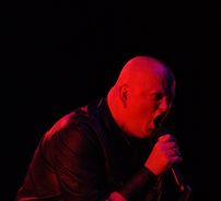 Foto de Leather Strip