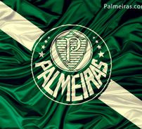 Foto de Palmeiras