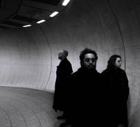 Foto de Love Is Noise