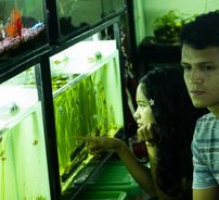 Foto de Los Lémunders