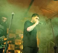 Foto de Mosca de Patio