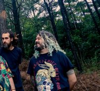 Foto de Gorila Muy Loco