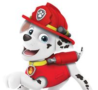 Foto de Patrulha Canina