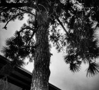 Foto de Estação de Energia