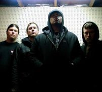 Foto de From the Shallows