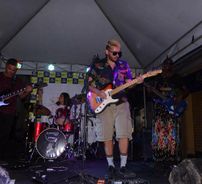 Foto de Samambaia Ornamental