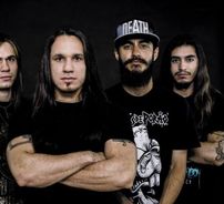 Foto de Falls of Silence