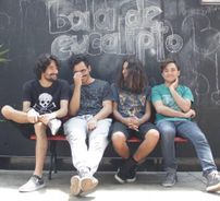 Foto de bala de eucalipto