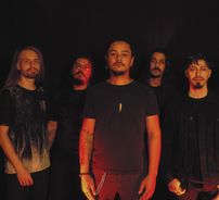 Foto de Screams Of The Night