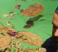 Foto de Ricardo Ayade