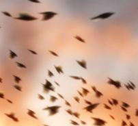 Foto de La Casa Azul