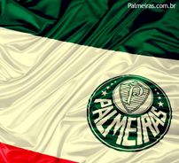 Foto de Palmeiras
