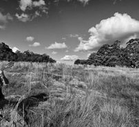 Foto de Leonardo Quadros