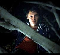 Foto de Nolan Sotillo