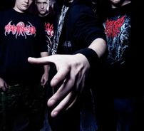 Foto de Ingested