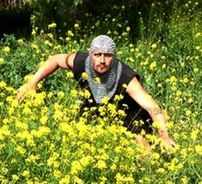 Foto de Fame De-Noite