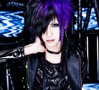 Foto de Codomo Dragon