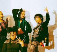 Foto de We Don't Ride Llamas