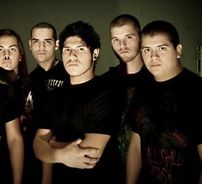 Foto de Earth From Above