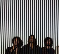 Foto de Sun Sweet Sun