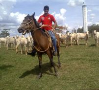 Foto de Evandro Diamant