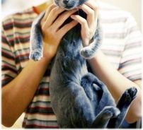 Foto de M&D (Midnight & Dawn)