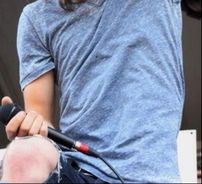 Foto de The Ready Set