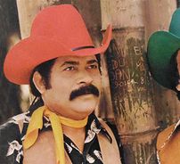 Foto de Tião Carreiro e Paraíso