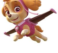 Foto de Patrulha Canina