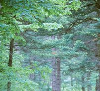 Foto de WayV - KUN&XIAOJUN