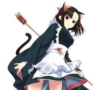 Foto de Mahou Sensei Negima