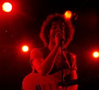 Foto de Albert Hammond Jr.