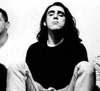 Foto de Little Quail