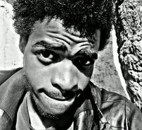 Foto de Stelvio Montannah