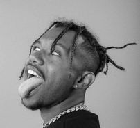 Foto de Polimá Westcoast