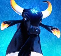 Foto de Boi Caprichoso