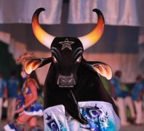 Foto de Boi Caprichoso