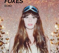 Foto de Foxes
