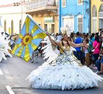 Foto de Professores (Samba-Enredo)