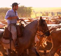 Foto de Guto Gonzalez