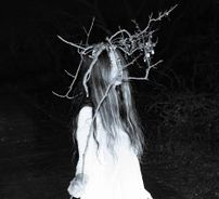 Foto de liar, flower