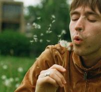 Foto de Matt Maltese