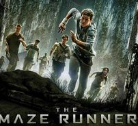 Foto de Maze Runner