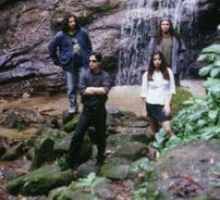 Foto de Quintessence