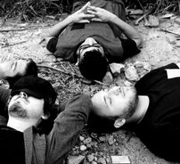 Foto de A Corte Animal